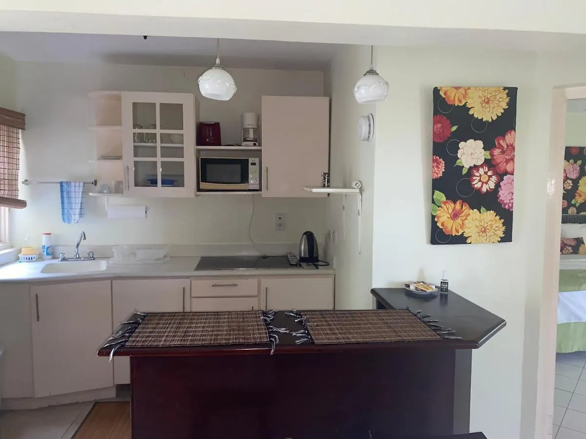 1 Bedroom Penthouse Suite 63 At Mystic Ridge Resort Ocho Ríos Apartamento